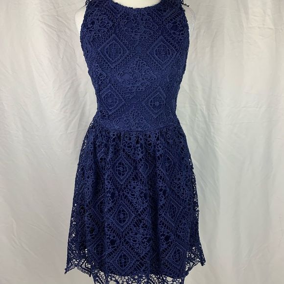 Francesca's Collections Dresses & Skirts - Francescas Lace Dress